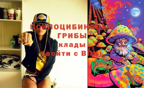 меф Белокуриха