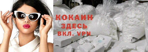 a pvp Бородино