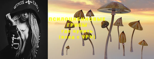 PSILOCYBIN Белоозёрский