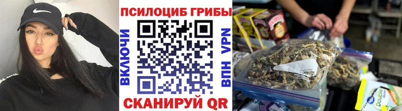 Псилоцибиновые грибы Cubensis сколько стоит Белёв